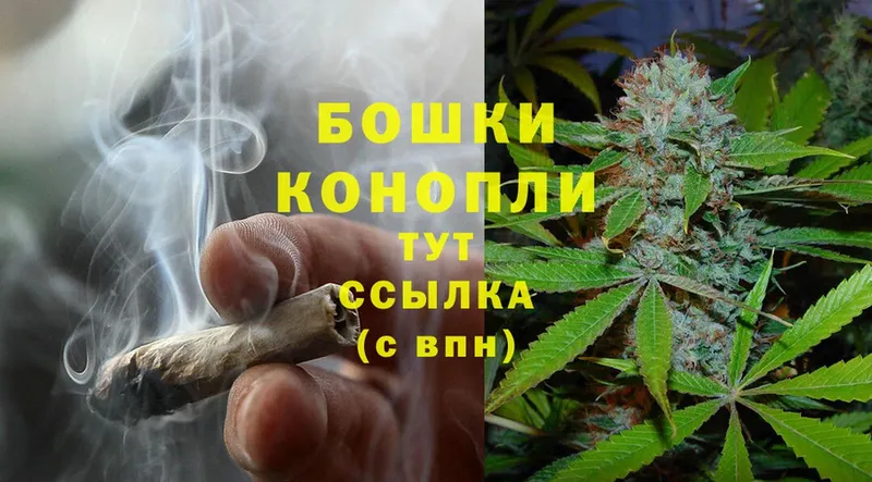 Шишки марихуана THC 21%  купить   Калтан 